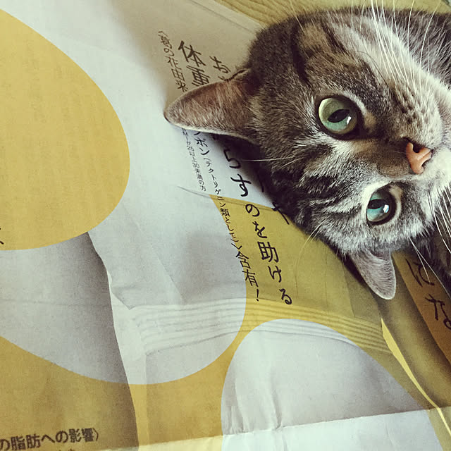 richanさんの実例写真