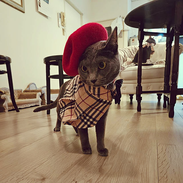 rococoさんの実例写真