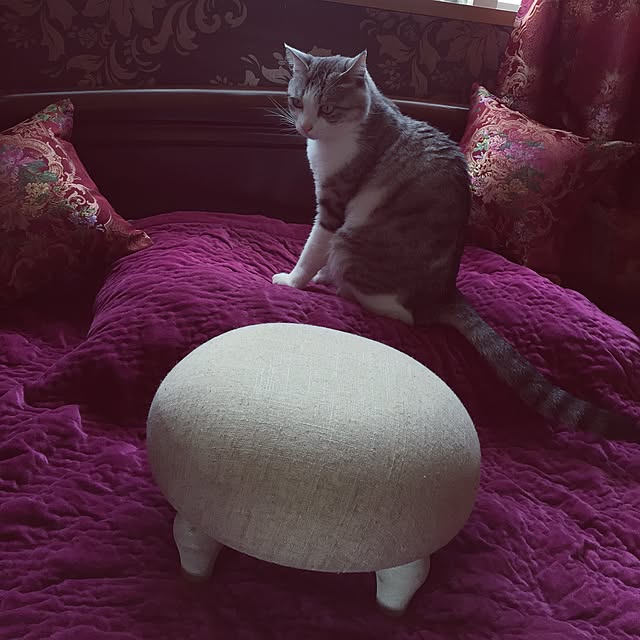 emmyyさんの実例写真