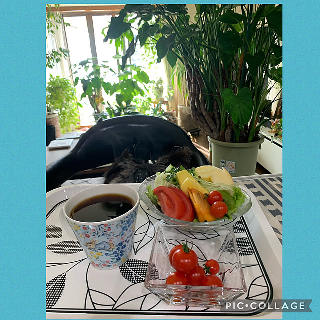 Aqettyさんの実例写真