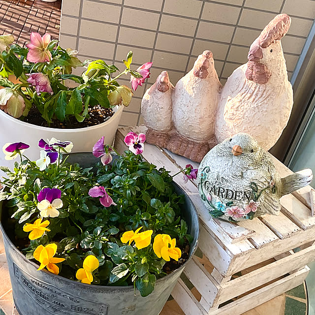 2.11maririnさんの部屋