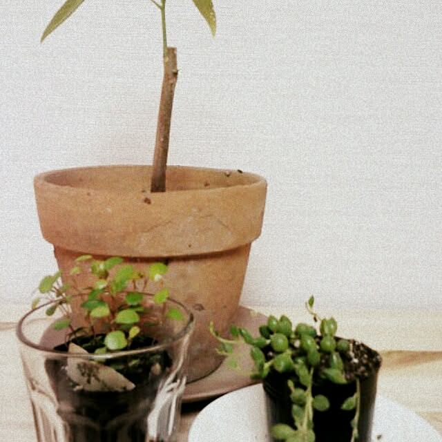 kikiさんの実例写真