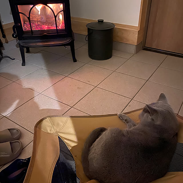 hachiさんの部屋