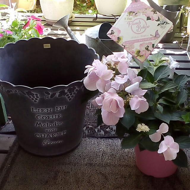 mariagardenさんの実例写真