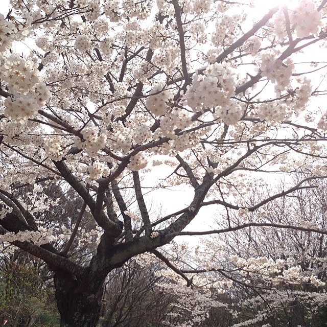 uandmiさんの実例写真