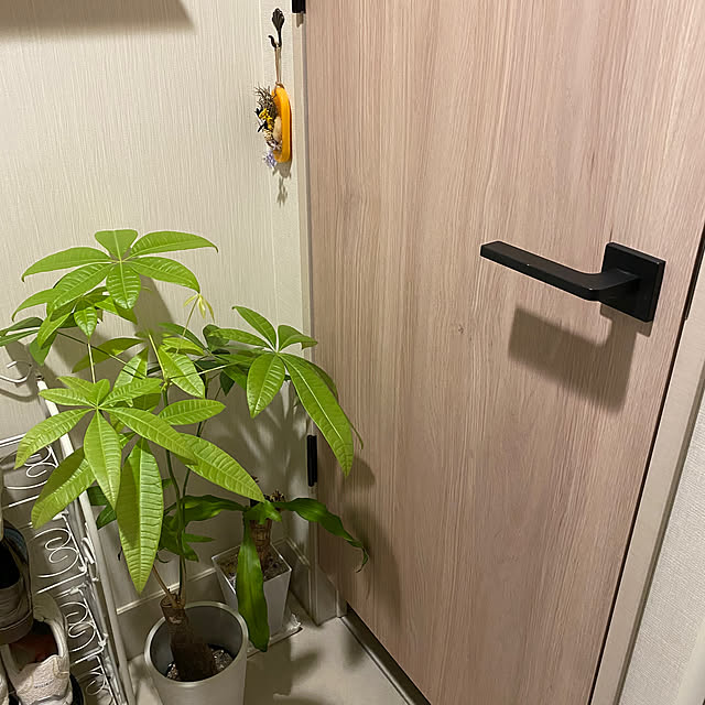 honmamiさんの実例写真