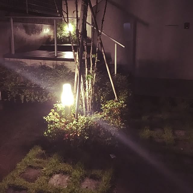 basaさんの実例写真