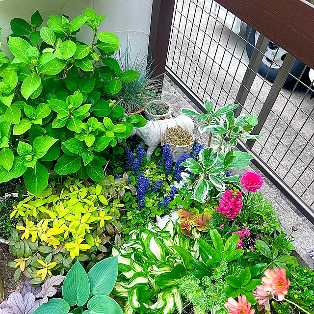 hinamamaさんの部屋