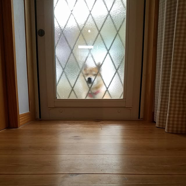kosaさんの実例写真