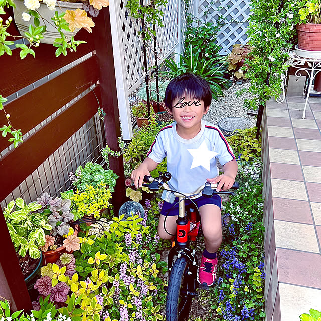 hinamamaさんの部屋