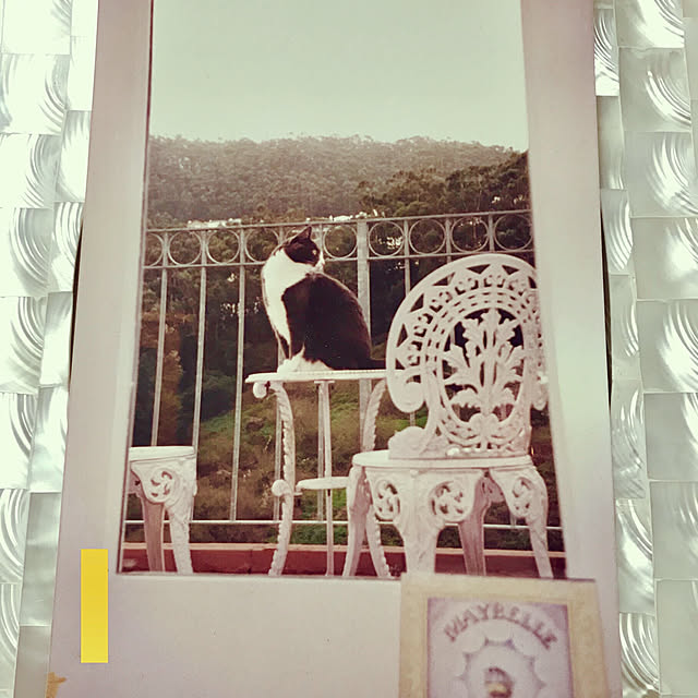kjktさんの実例写真