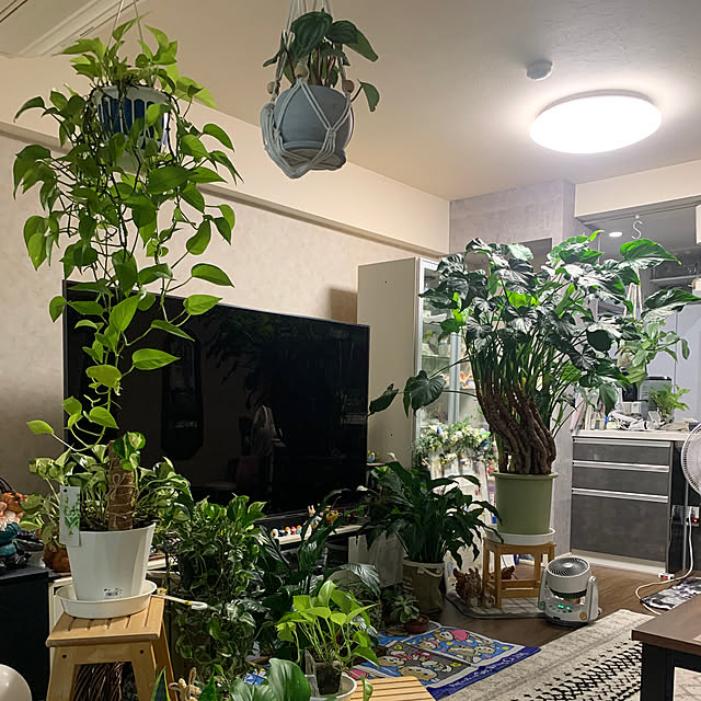 Aqettyさんの部屋