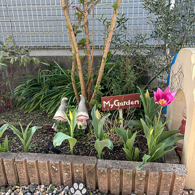 chIoeさんの部屋