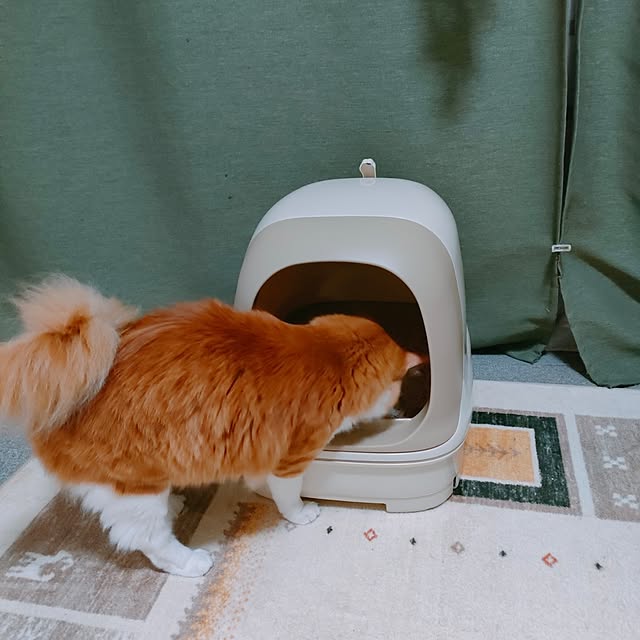 mori_6_12さんの実例写真