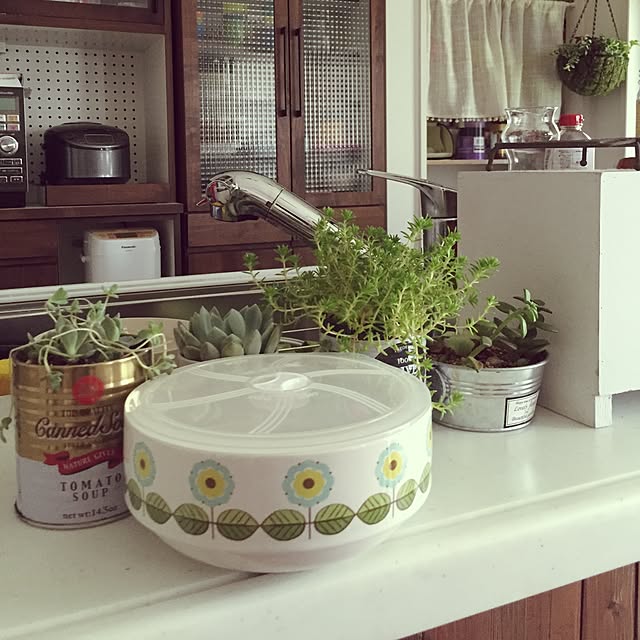棚/食器/雑貨/多肉植物/セリアのインテリア実例 - 2015-07-13 15:40:00