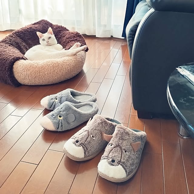 NOAHさんの実例写真