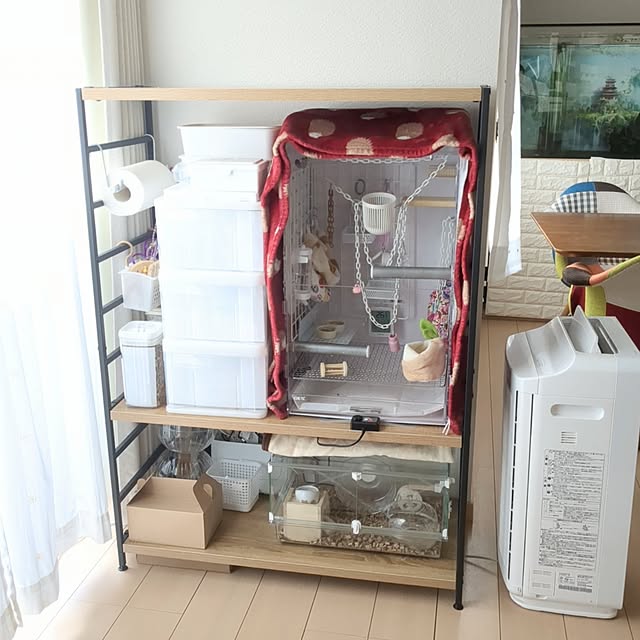 Annaさんの実例写真