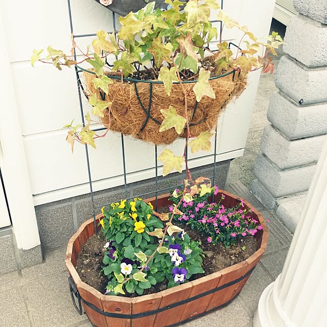 yun1001さんの実例写真