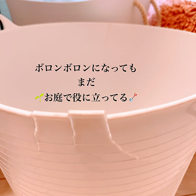 akaidarumaさんの部屋