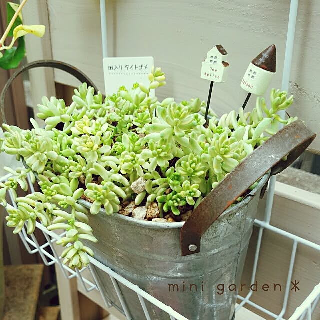 mieさんの実例写真