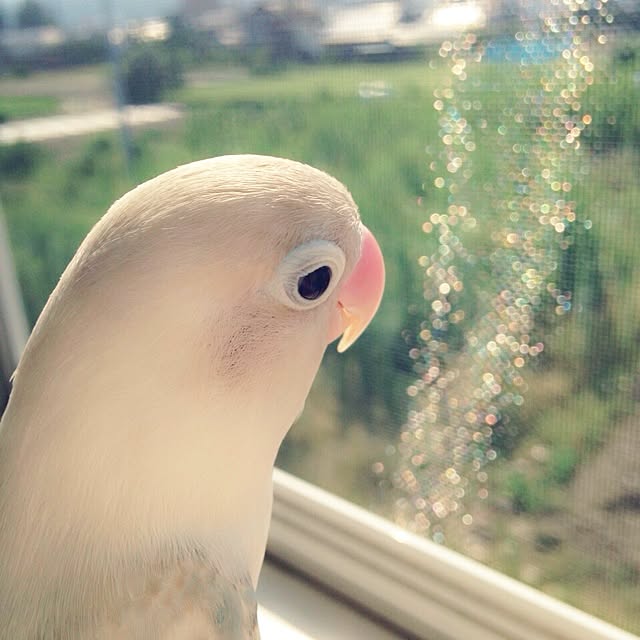 hanakoさんの実例写真