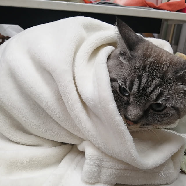 Manaさんの実例写真
