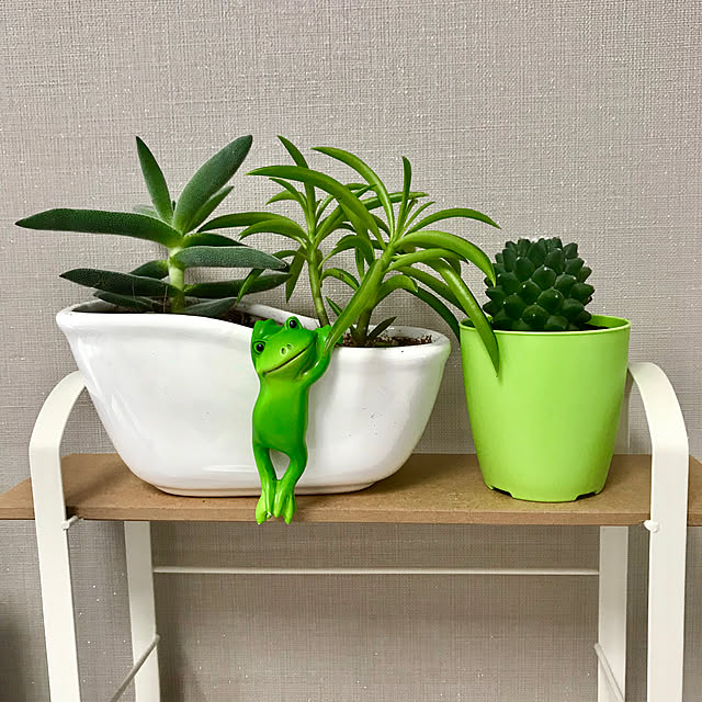 nerikoさんの実例写真