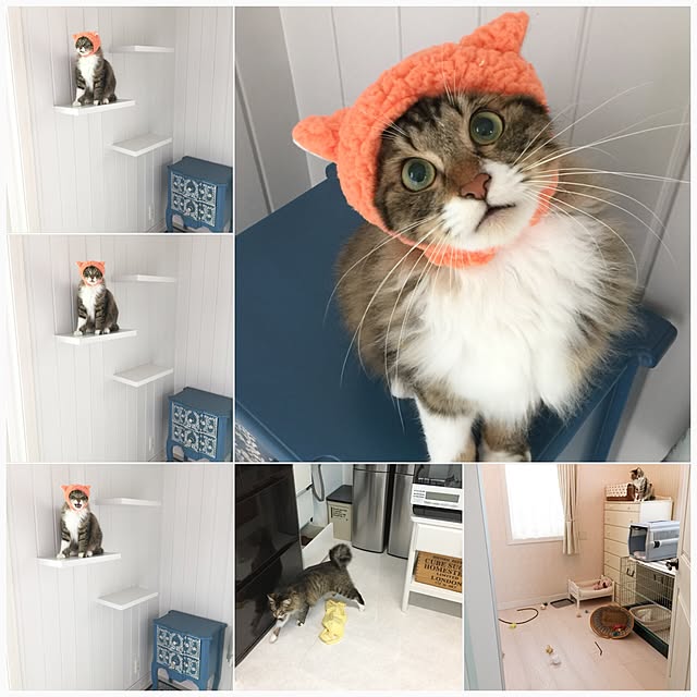 yuchiさんの実例写真