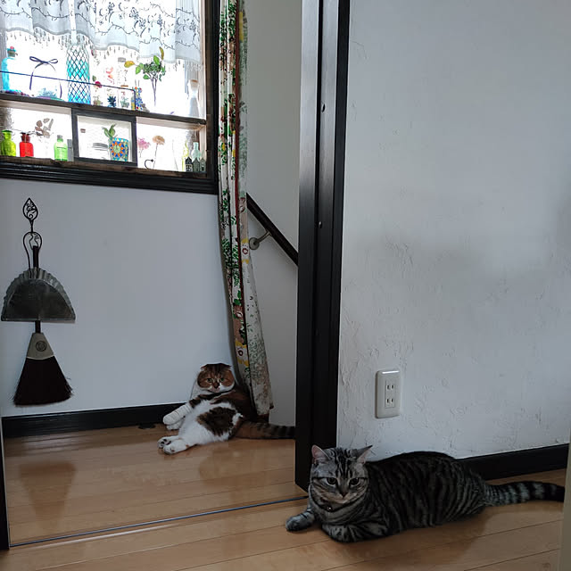 hiro3さんの実例写真