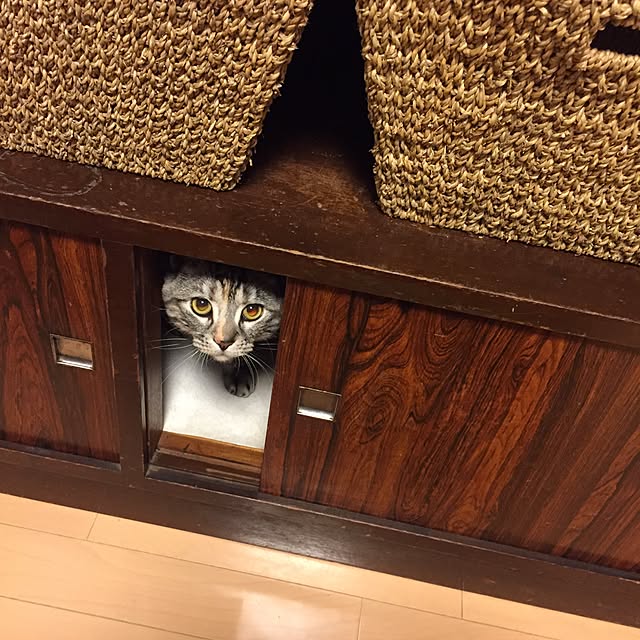haruさんの実例写真