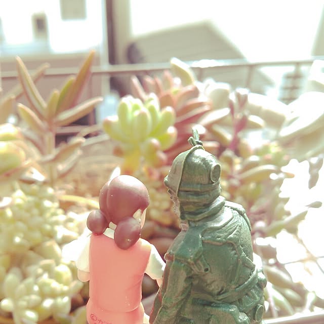 akr29さんの実例写真