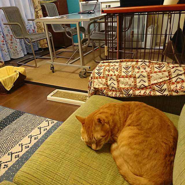 okyosan101さんの実例写真