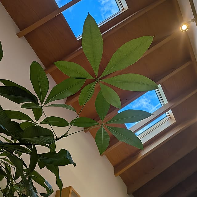 Eri-iiさんの実例写真