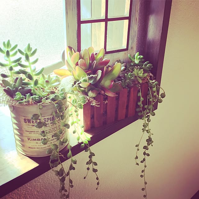 Tomokoさんの実例写真