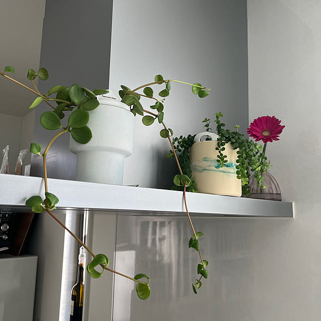 miichanさんの実例写真