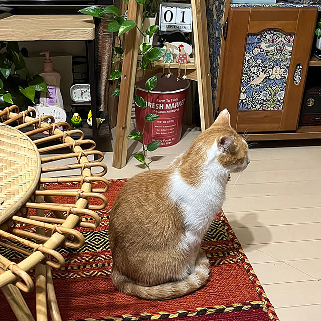 Toyomiさんの部屋