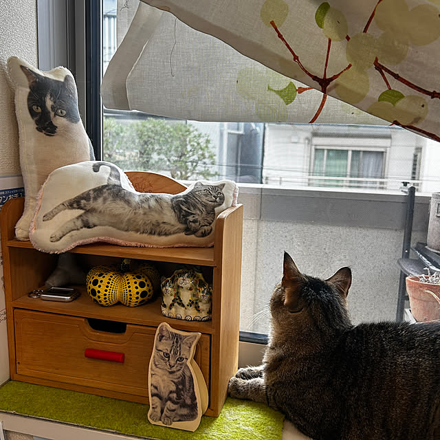 mikomaruさんの部屋
