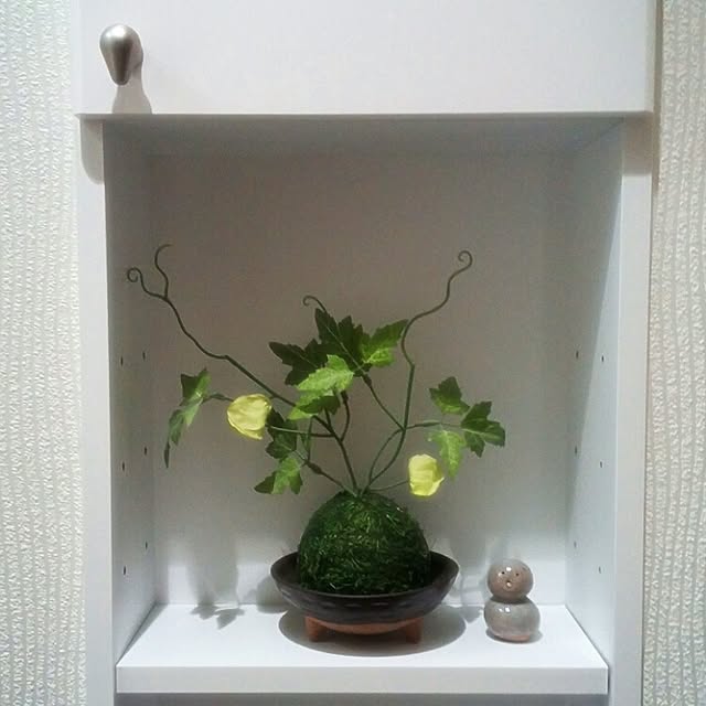 akikoさんの実例写真
