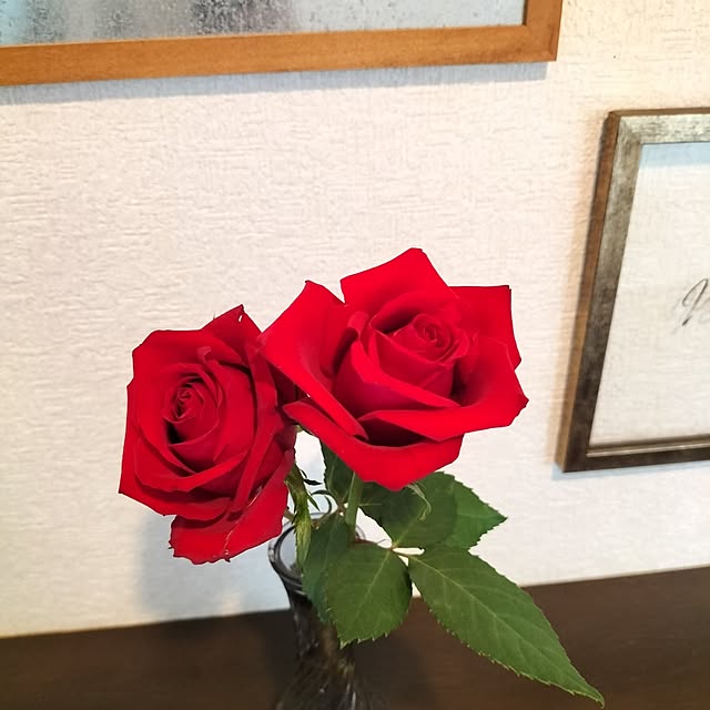 aoiroさんの部屋