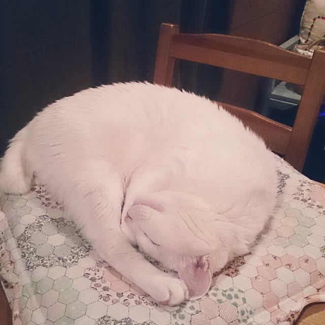 amifuuさんの実例写真