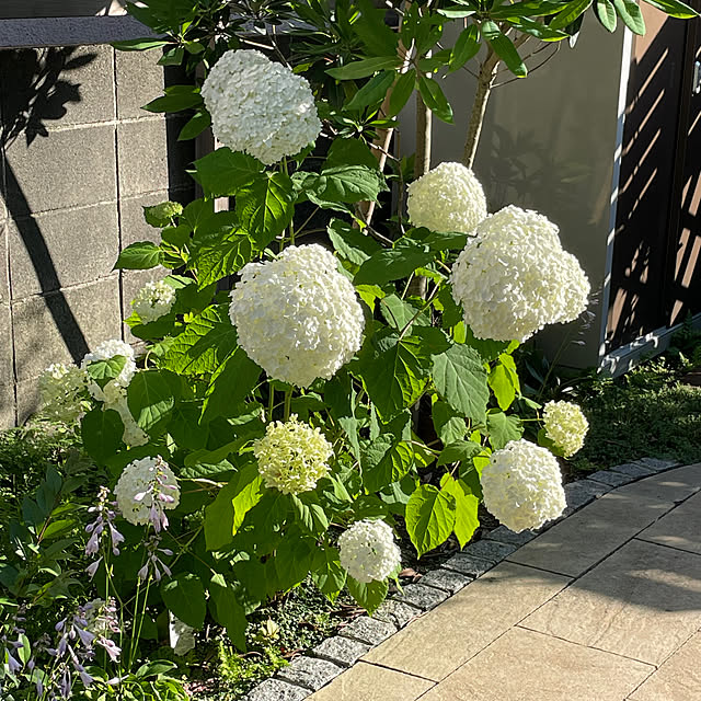 tomoさんの部屋