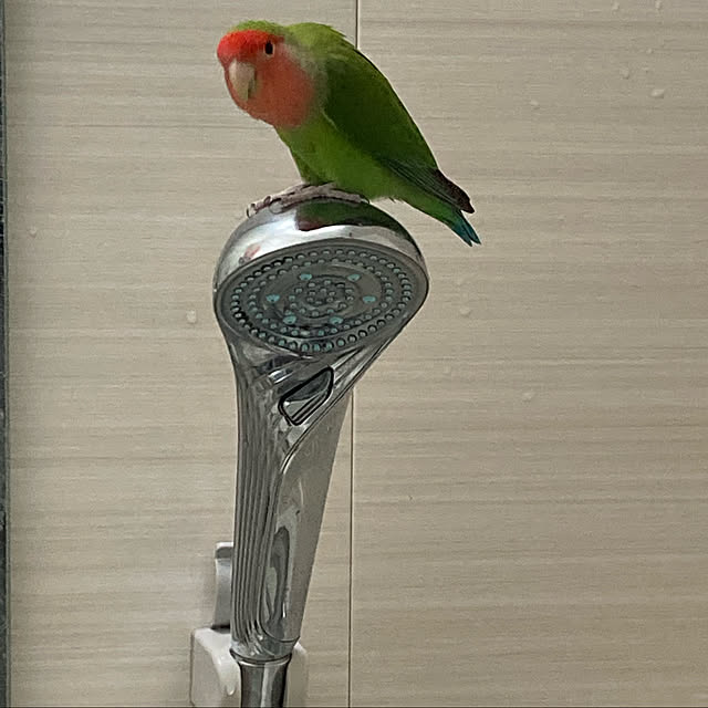 toratanさんの実例写真