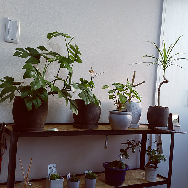 goriさんの実例写真