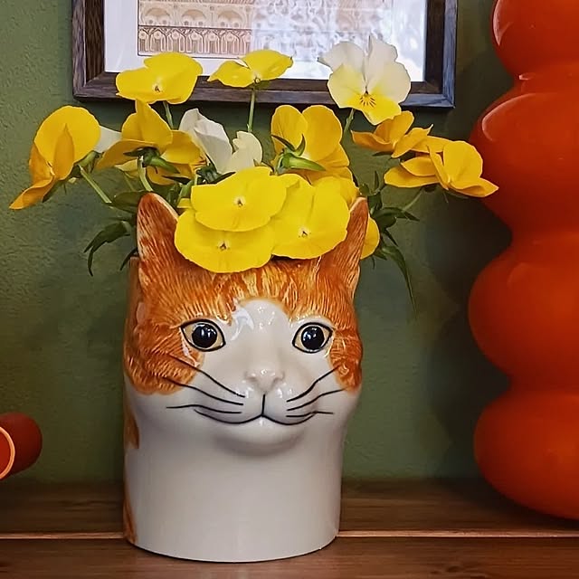 funnyfaceさんの実例写真