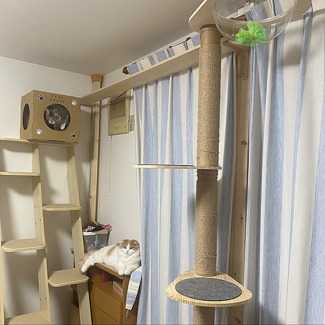 kazuheieriさんの実例写真