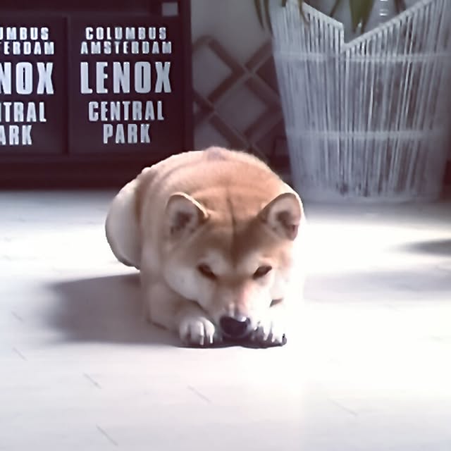 kさんの実例写真