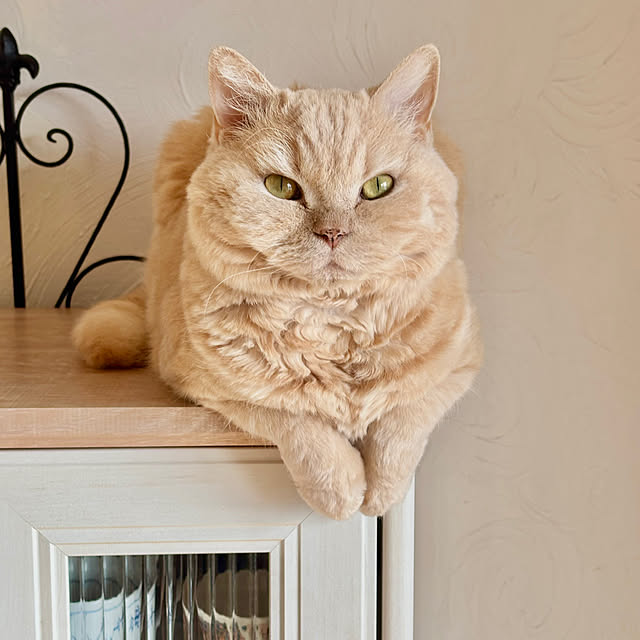 naokoさんの部屋