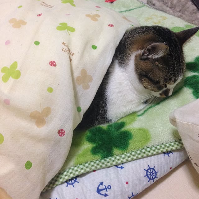MIMICAさんの実例写真