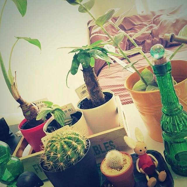 bwdmgmgさんの実例写真
