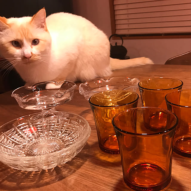 sakurasakuさんの実例写真